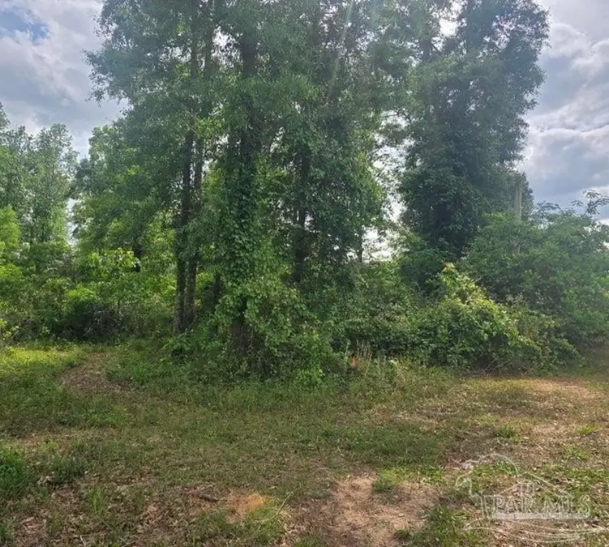Picture 6