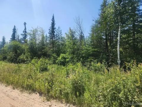 80 Acres Hunting Land Parcel