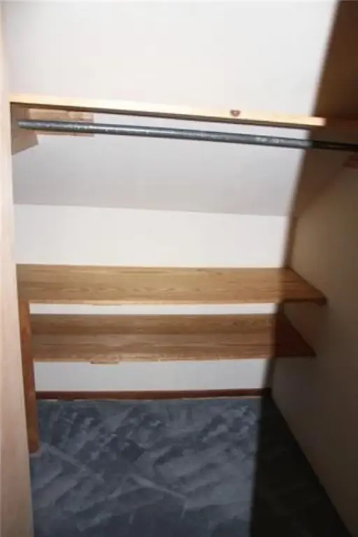 Picture 29