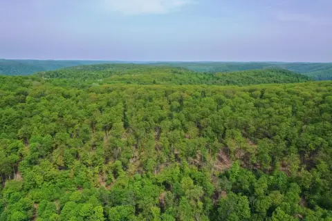 318 Acres of Managed Forest