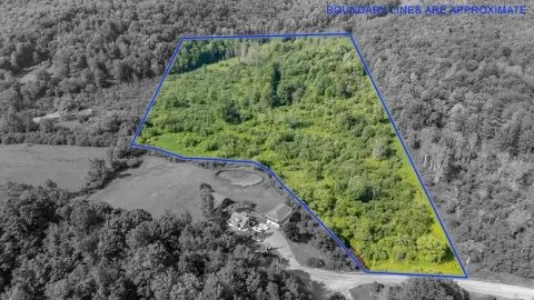 Wooded Land with Bowman Creek