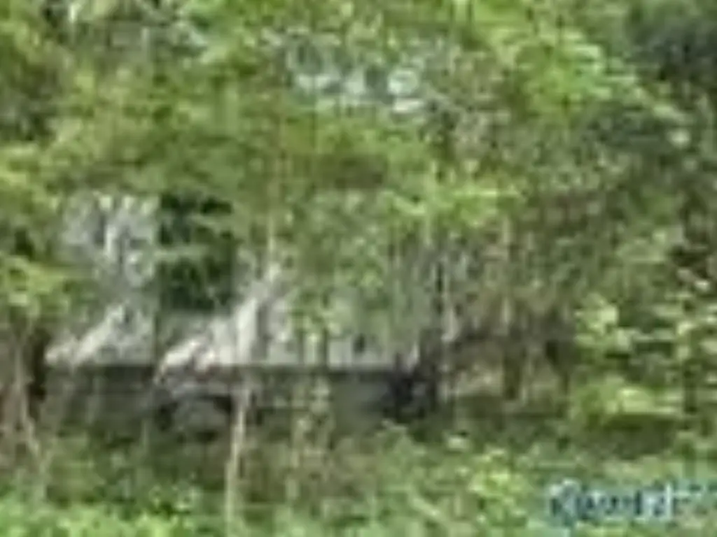 Picture 18