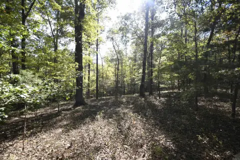 Forest-Edge Recreation Land