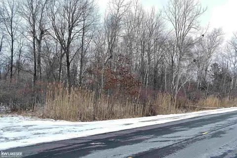 Wooded Vacant Land Near Caseville