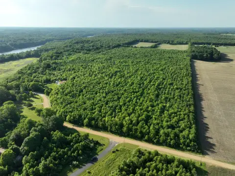 60 Acres Vacant Land Opportunity