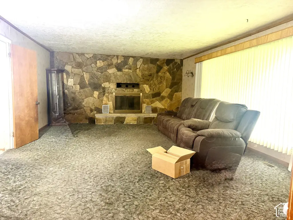 Picture 19