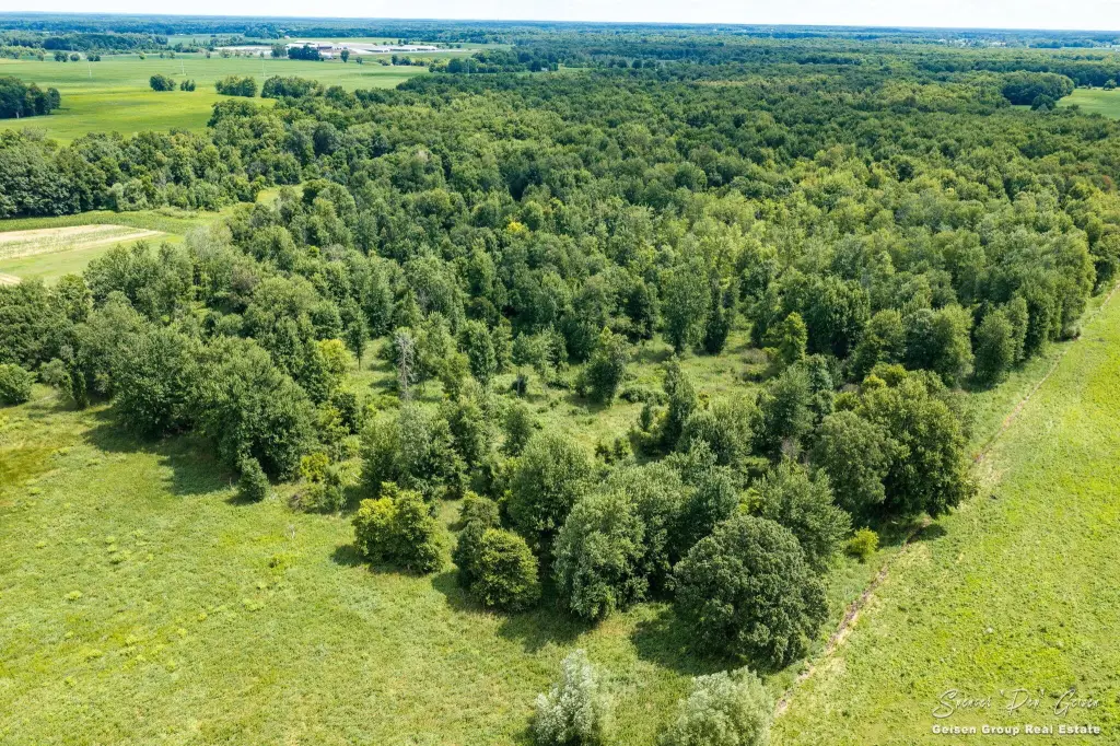 Picture 14