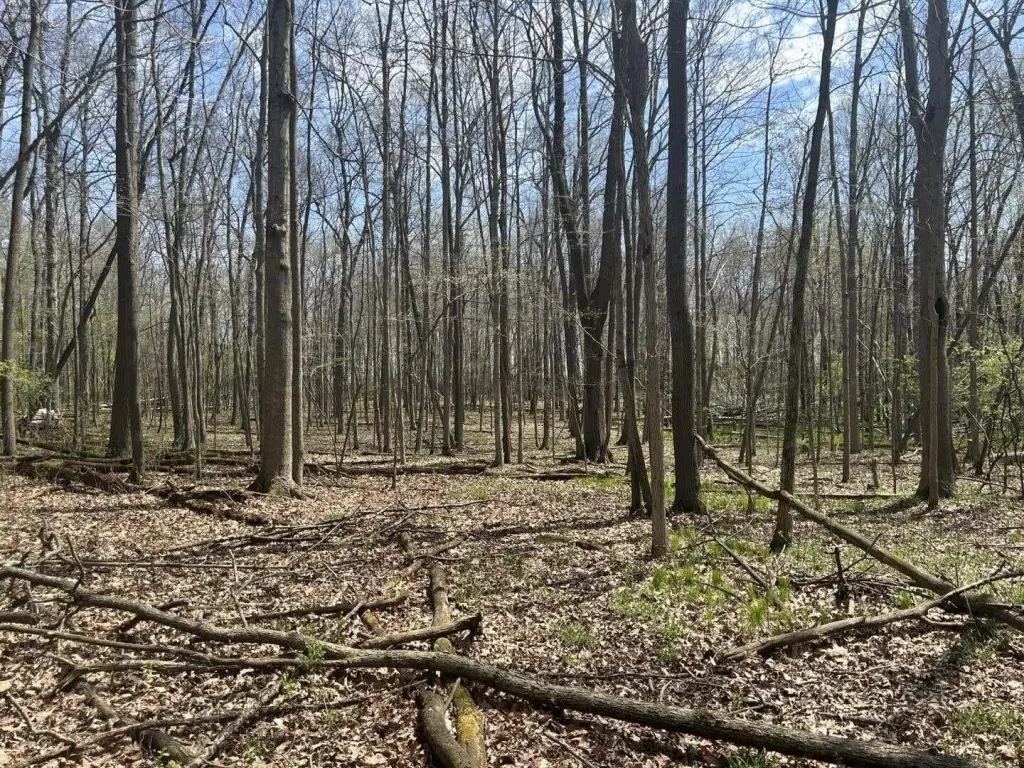 Picture 2