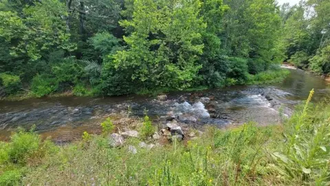 Versatile Land Parcel in Lyndhurst