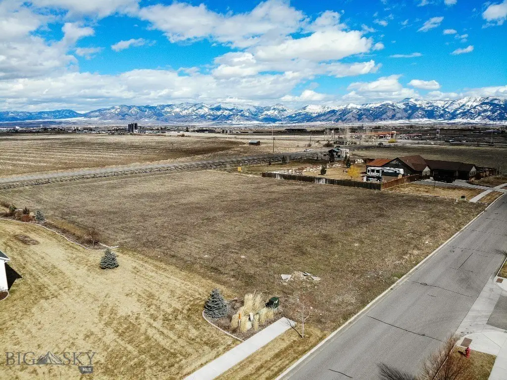 Picture 3