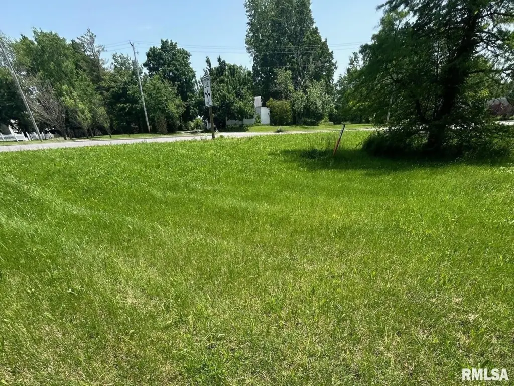 Picture 6