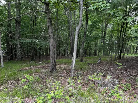 Ready-to-Build Lot in Tafton, PA