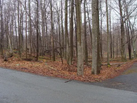 Residential Land in Pocono Springs