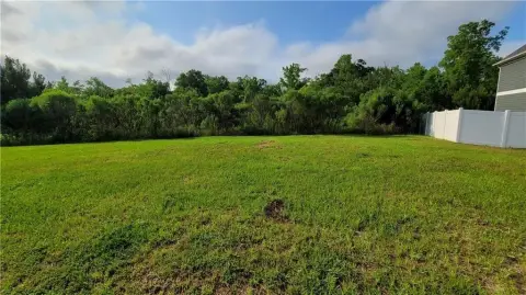 Residential Land in Phenix City