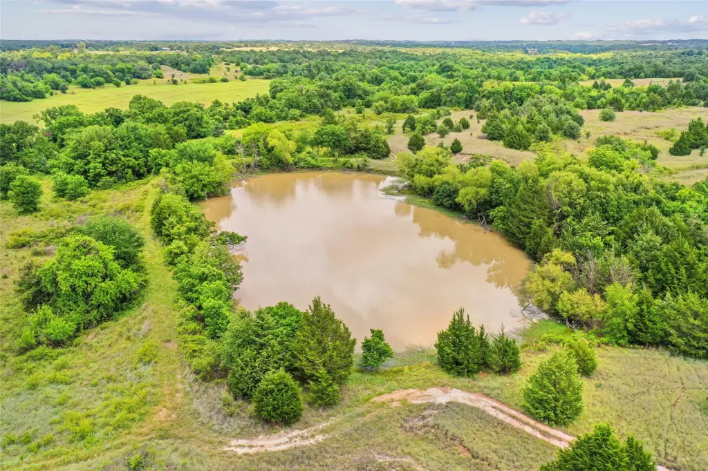 Picture 27