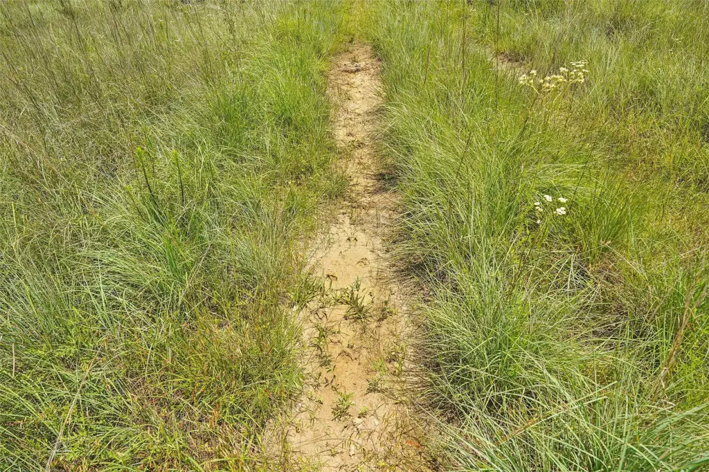 Picture 30