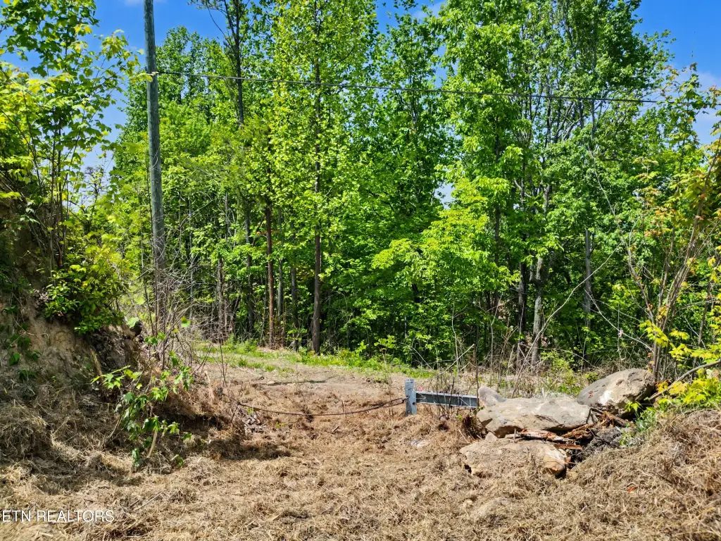 Picture 24