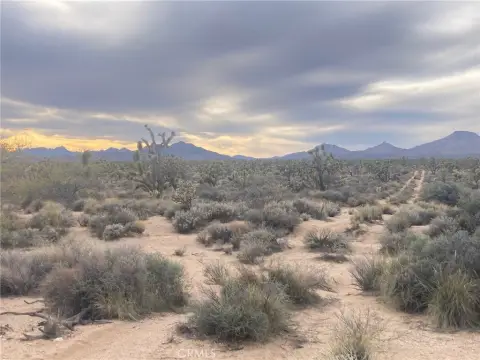 Mojave Desert Land Parcel