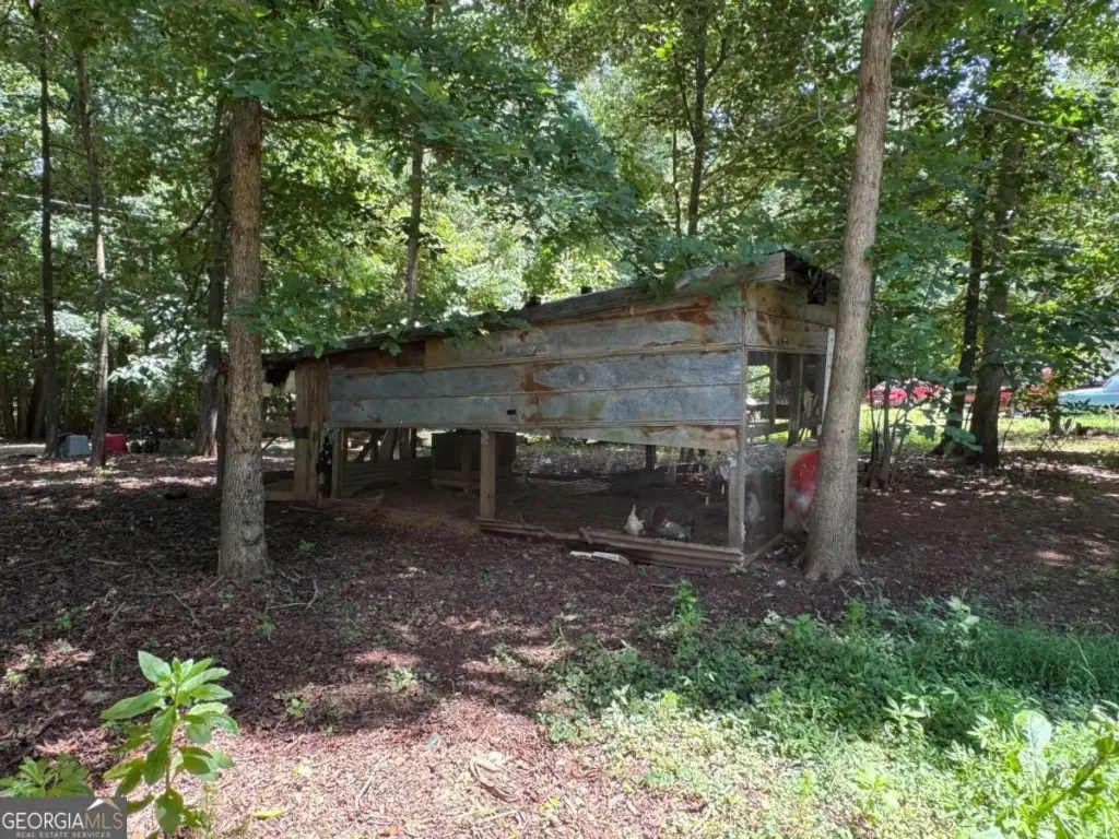 Picture 21