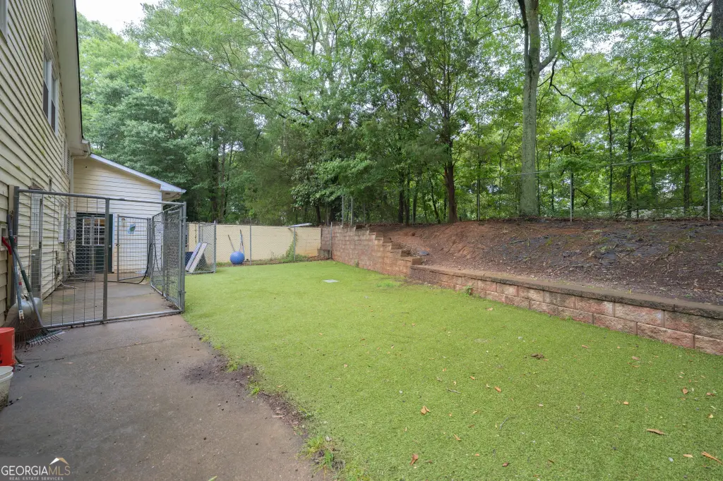 Picture 11