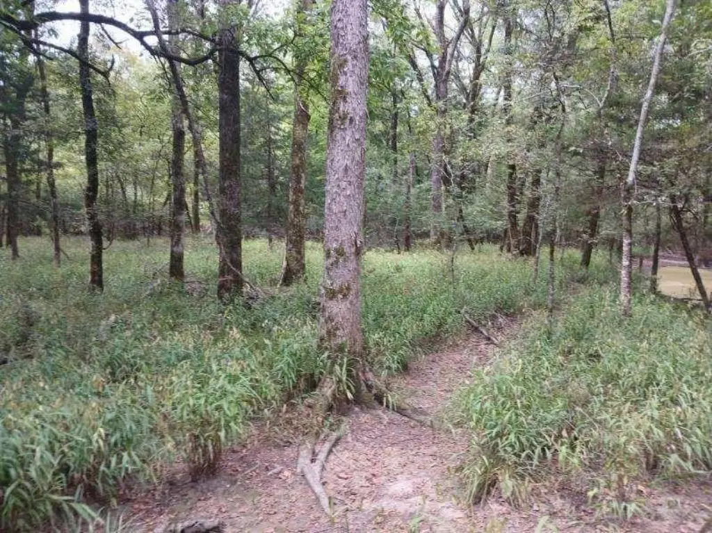 Picture 23