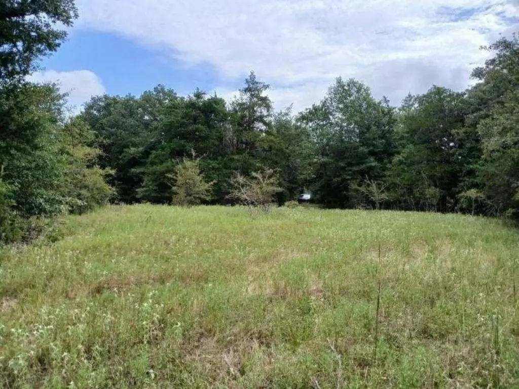 Picture 15