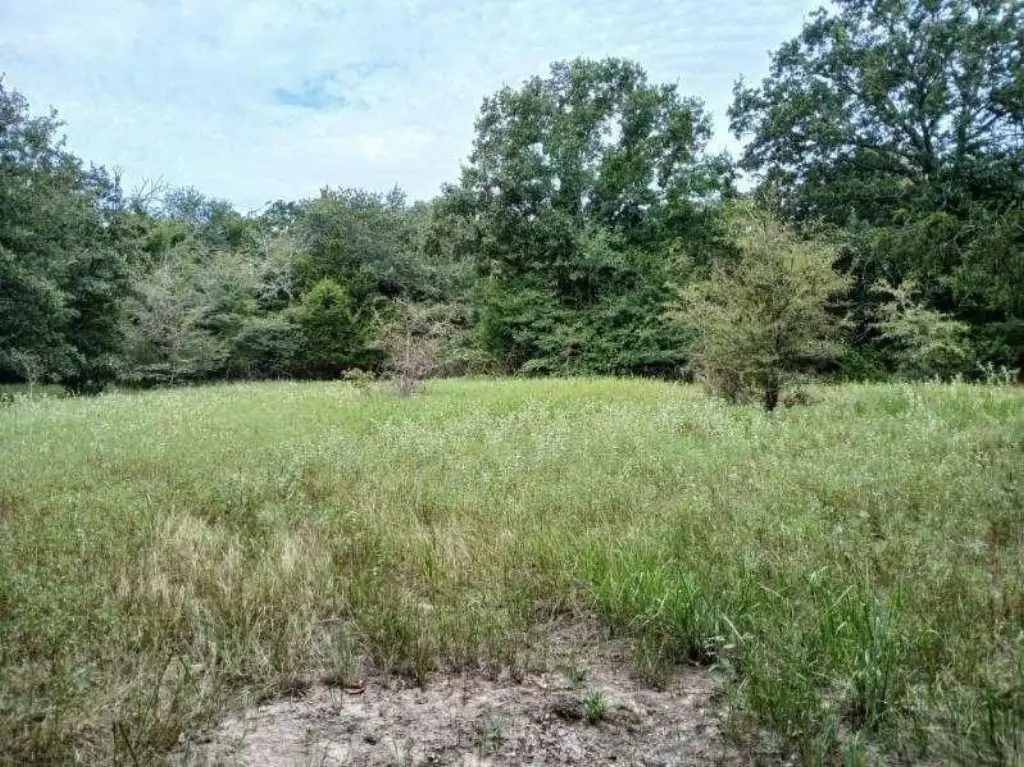 Picture 14