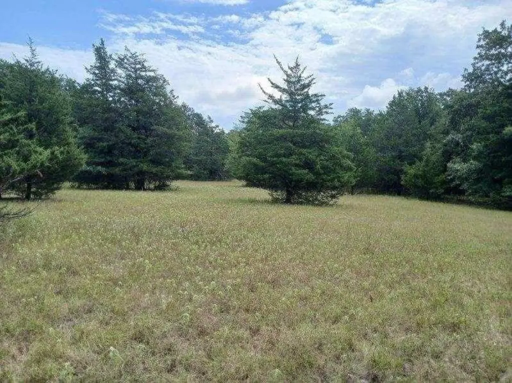 Picture 16