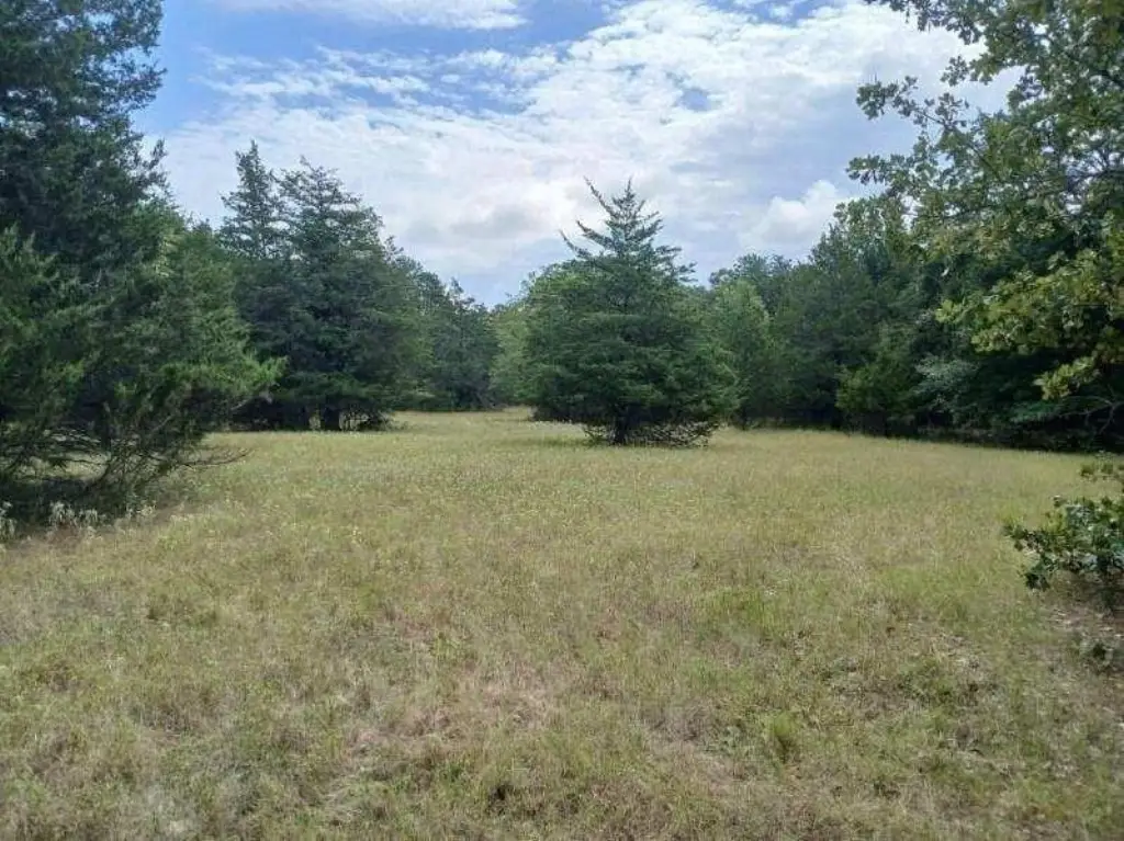 Picture 17