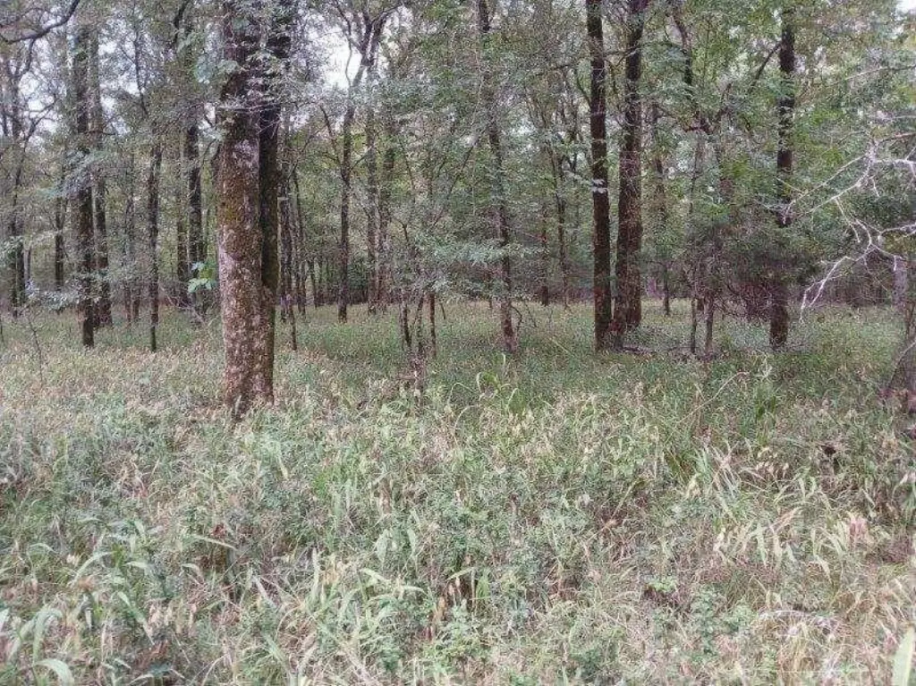 Picture 25