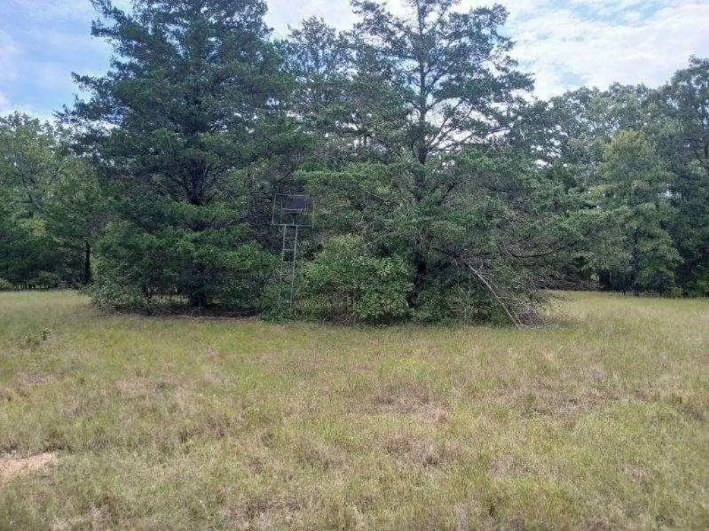 Picture 19