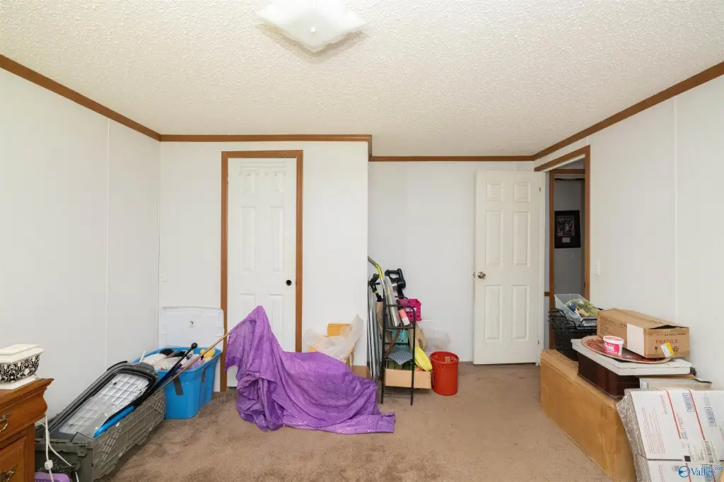 Picture 43