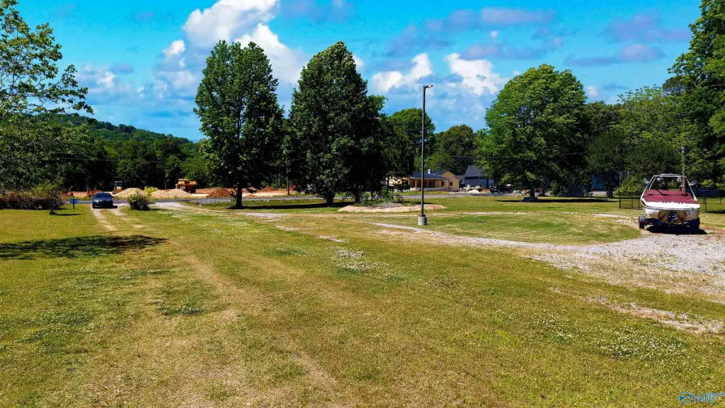 Picture 15