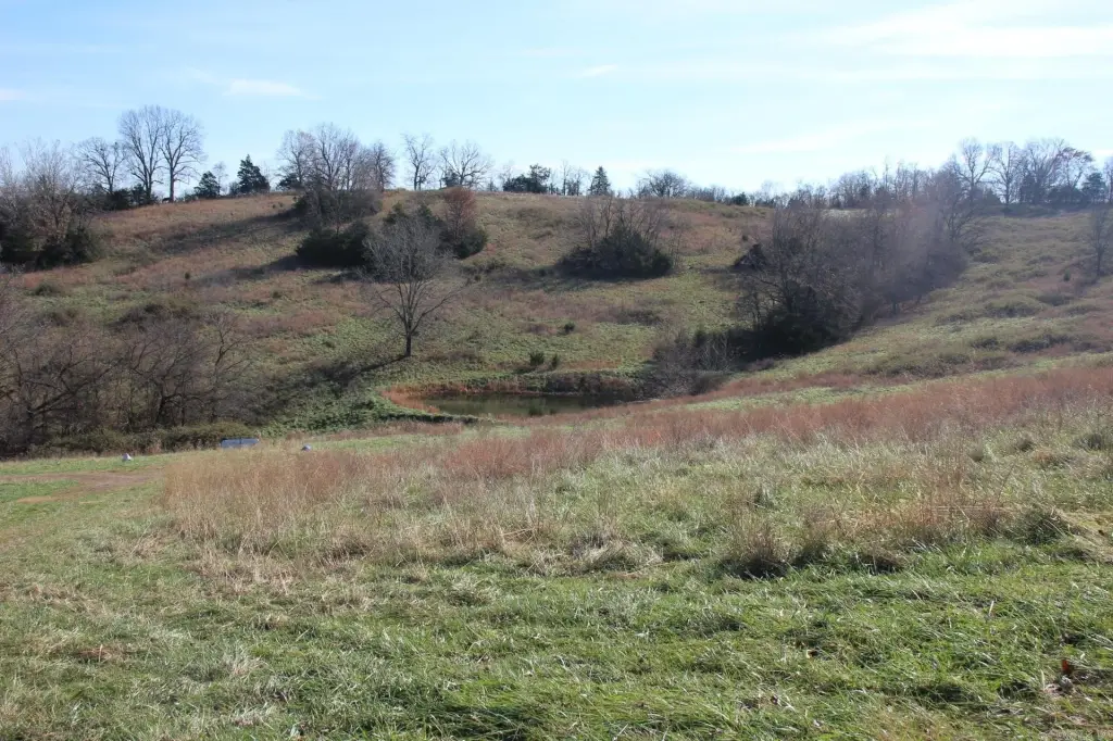 Picture 10