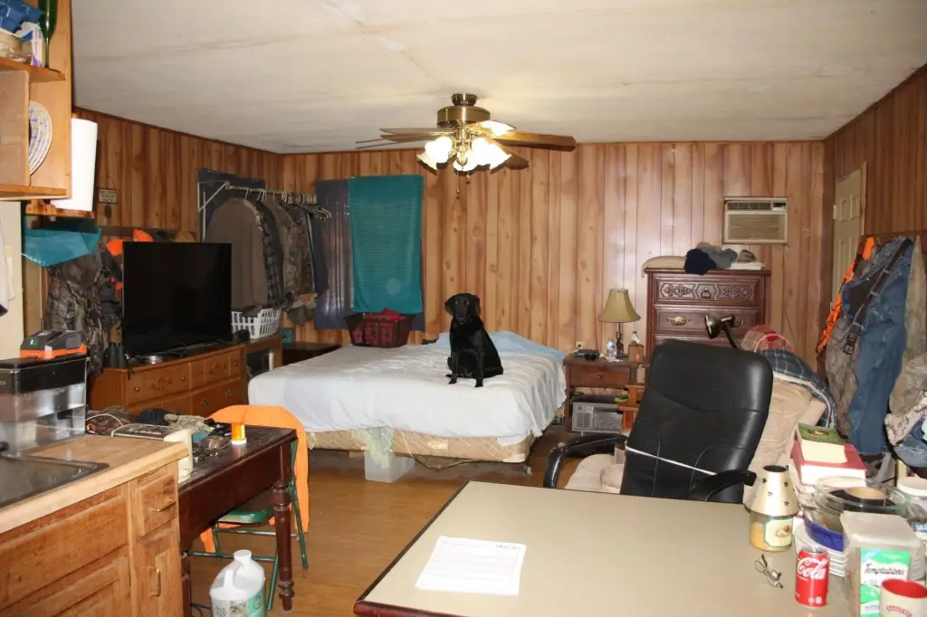 Picture 20