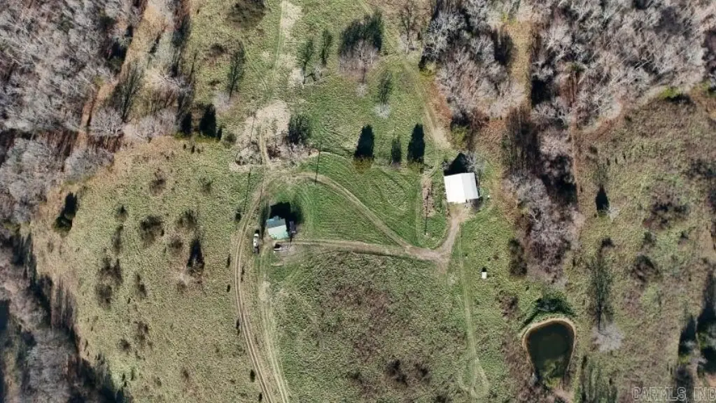 Picture 2