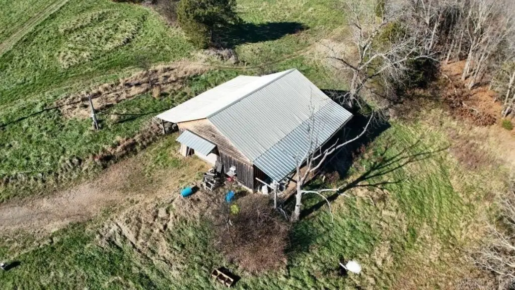 Picture 23