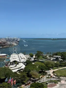 Luxury High-Rise Studio in Miami