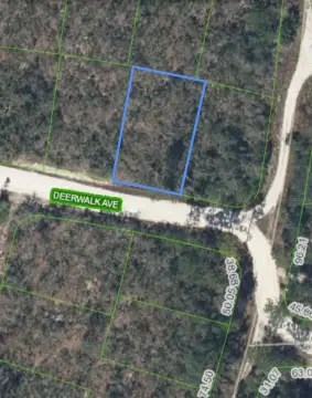 Land Near Lake Placid