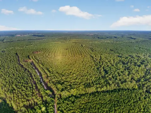 Wooded Agricultural Land