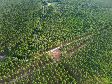 Wooded Agricultural Land