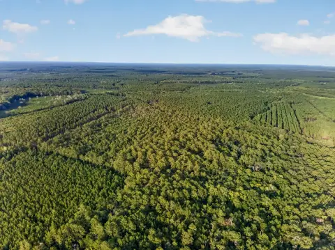 Wooded Land with Paved Road Frontage