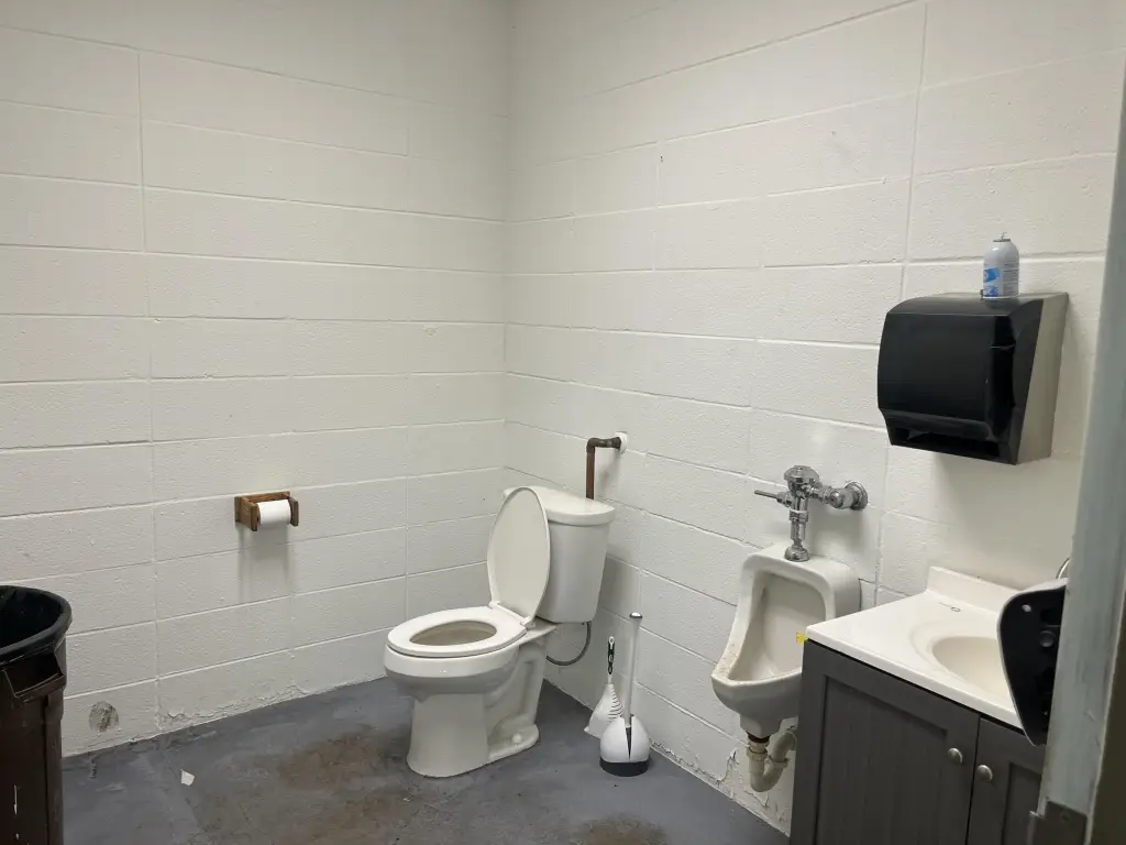 Picture 31