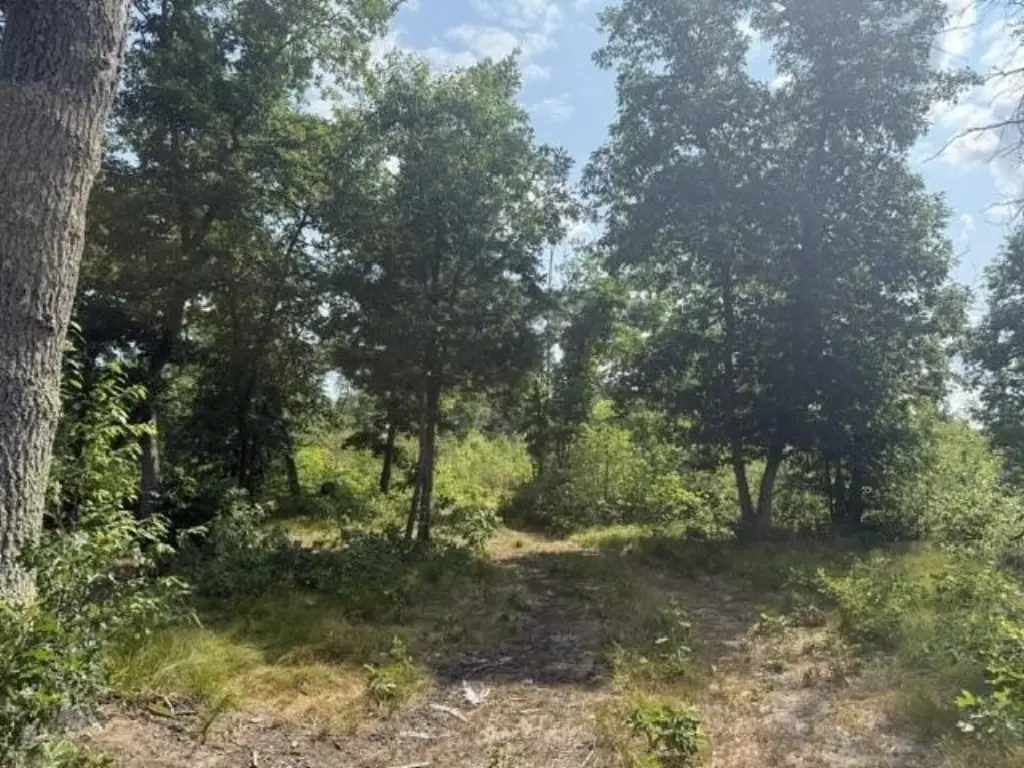 Picture 8