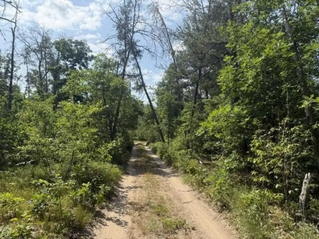 Picture 4