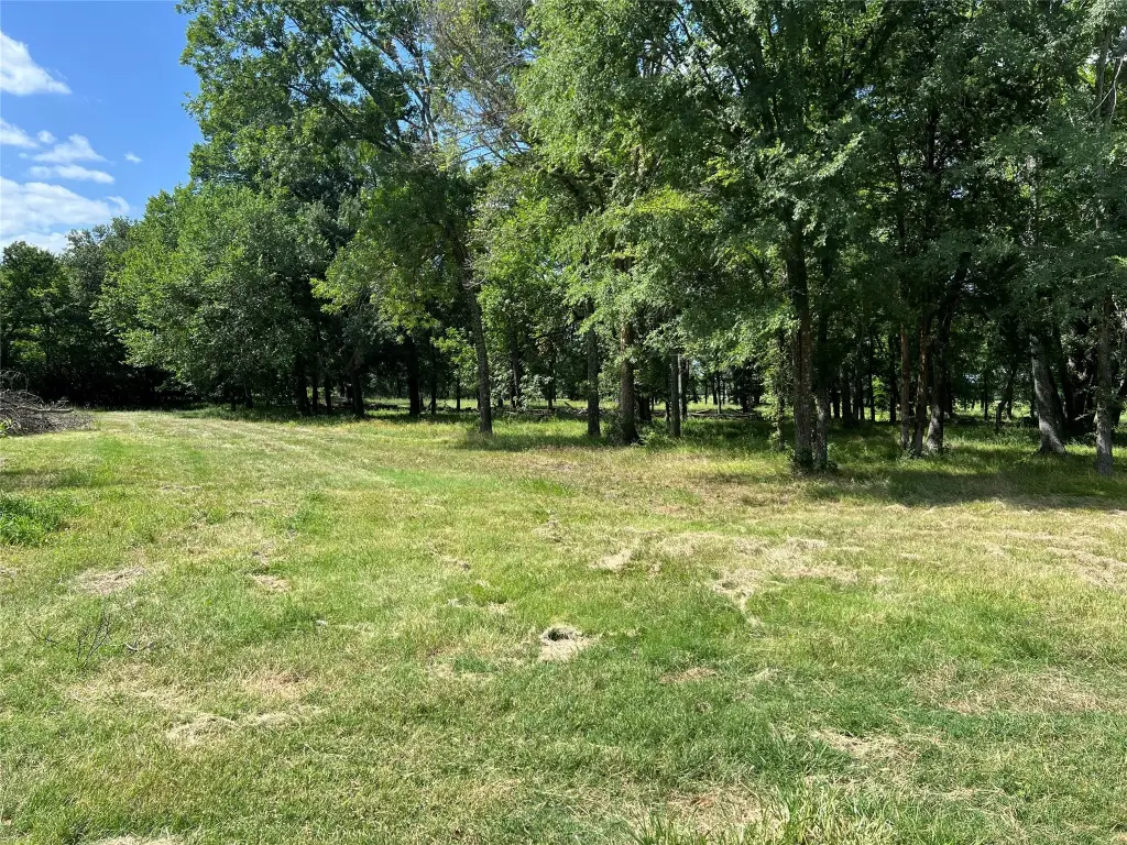 Picture 23