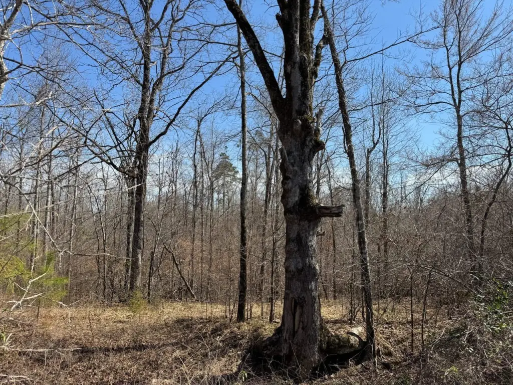 Picture 19