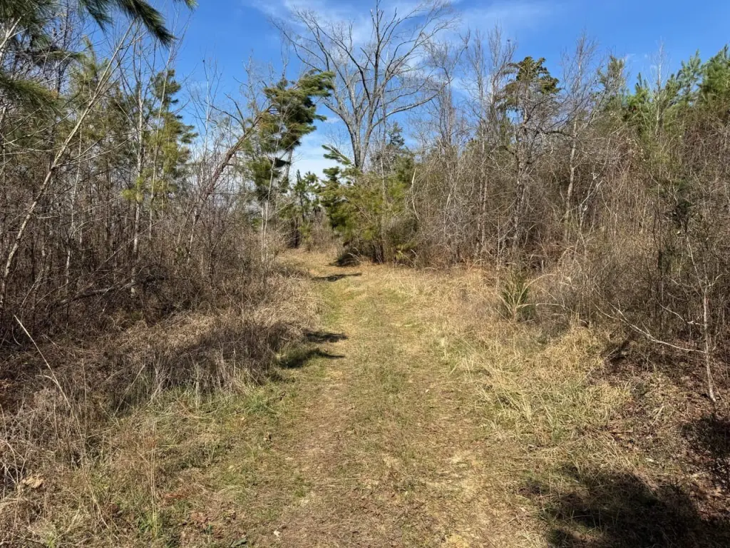 Picture 29