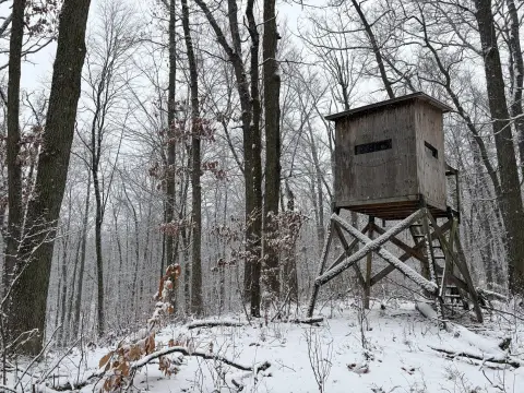 30 Acres of Land, Michigan