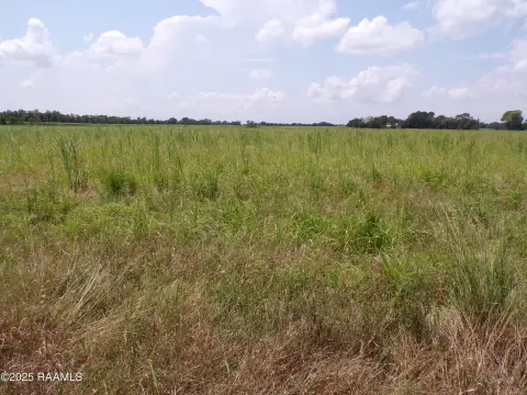 Cleared Land in Rayne, LA